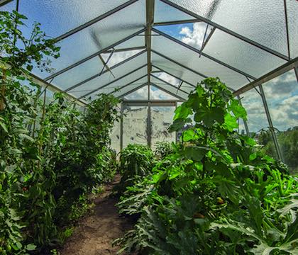 Les vidéos de la marque ACD, serres de jardin et serres de vie