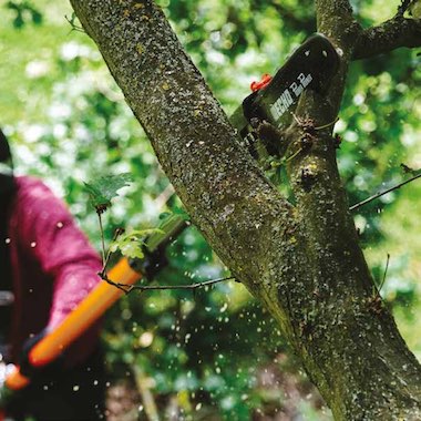 Echo perche d'élagage pour sous-bois